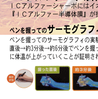 ゼブラ ゼブラ