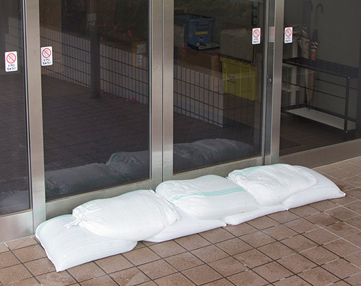 水のう 